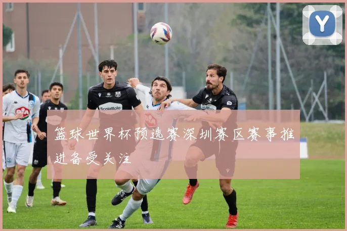 篮球世界杯预选赛深圳赛区赛事推进备受关注