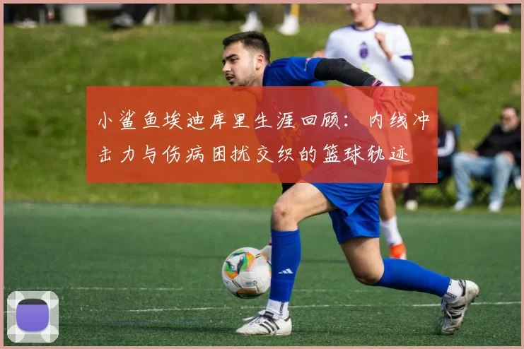 小鲨鱼埃迪库里生涯回顾：内线冲击力与伤病困扰交织的篮球轨迹