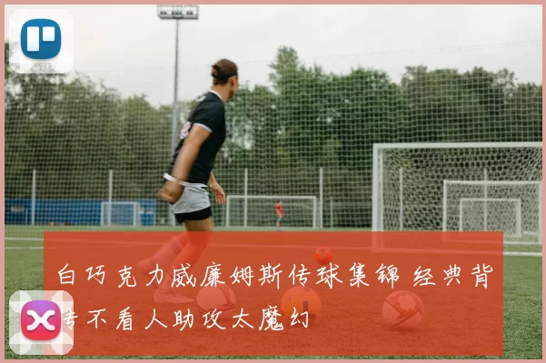 白巧克力威廉姆斯传球集锦 经典背传不看人助攻太魔幻