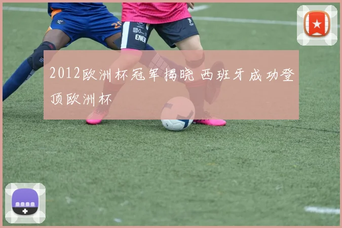 2012欧洲杯冠军揭晓 西班牙成功登顶欧洲杯